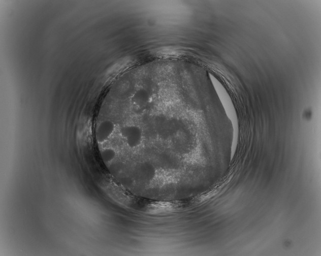 X0000097870381200804110930