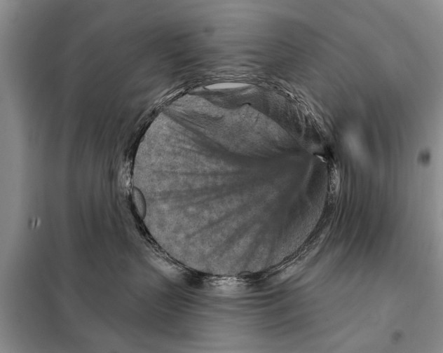 X0000097870383200804110930