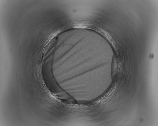 X0000097870385200804110929