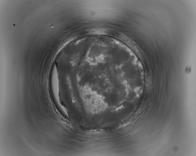 X0000097870386200804110929