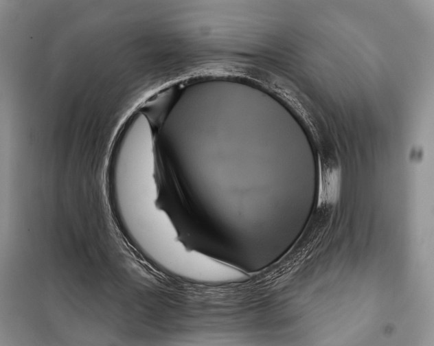 X0000097870387200804110929