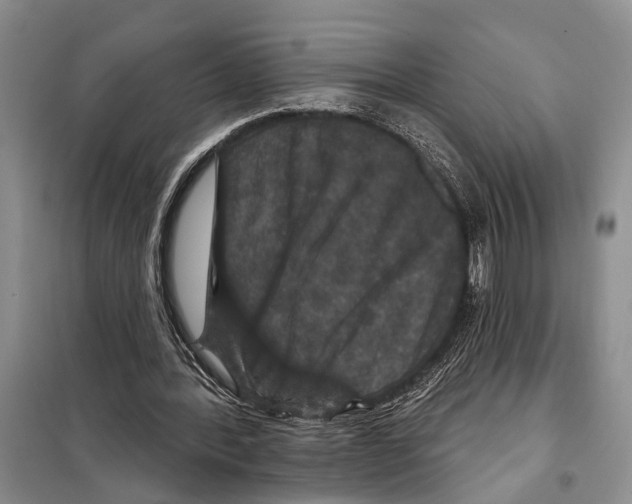 X0000097870388200804110929