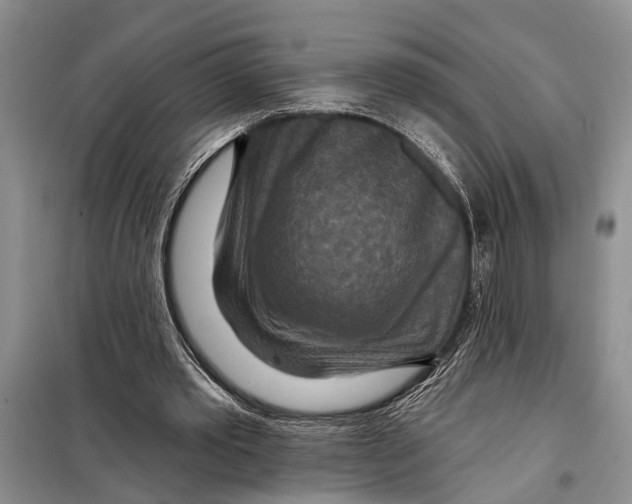 X0000097870389200804110929