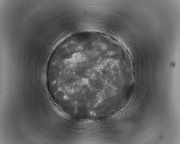 X0000097870390200804110929