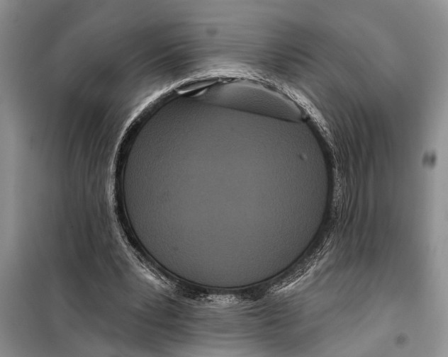 X0000097870391200804110929