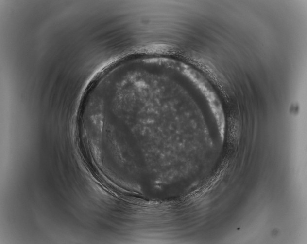 X0000097870392200804110929