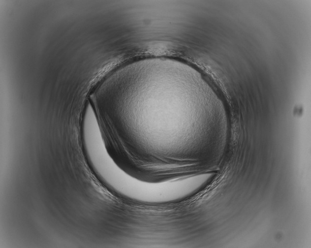 X0000097870393200804110929