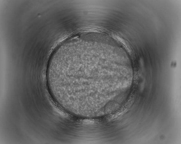 X0000097870394200804110929