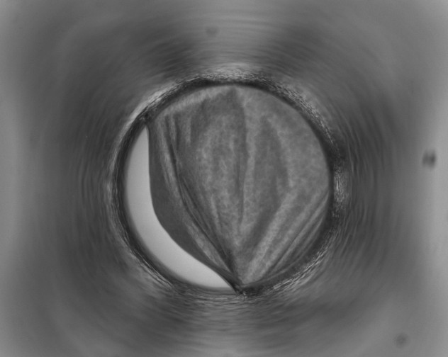X0000097870396200804110929