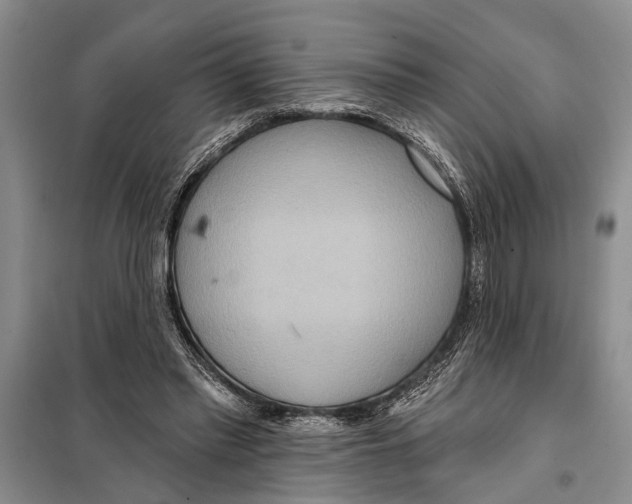 X0000097870397200804110929