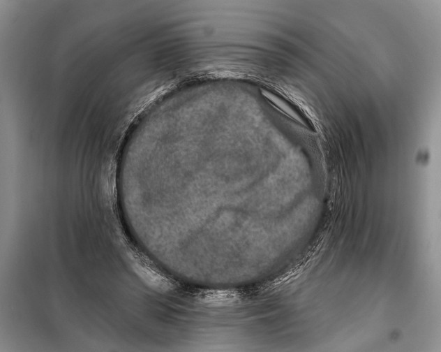 X0000097870398200804110929