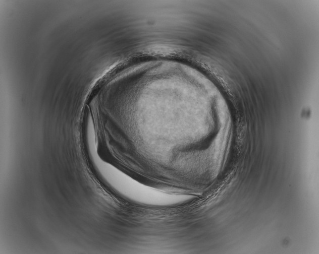 X0000097870399200804110929