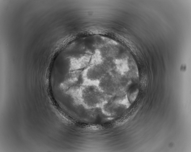 X0000097870402200804110929