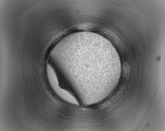 X0000097870404200804110929