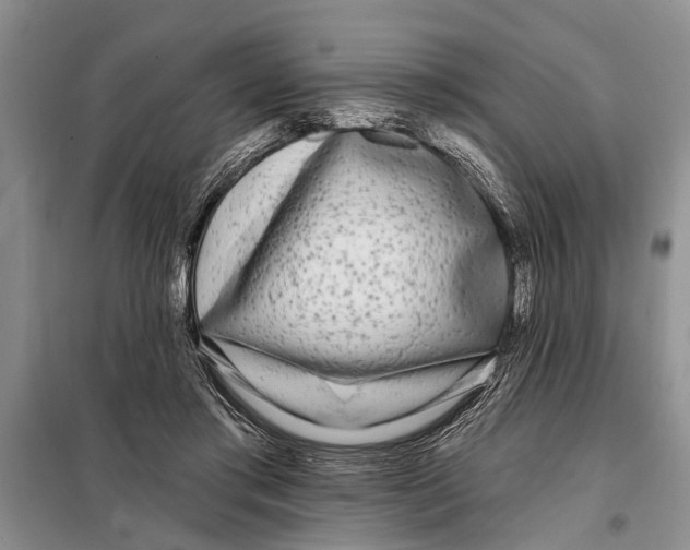X0000097870405200804110929