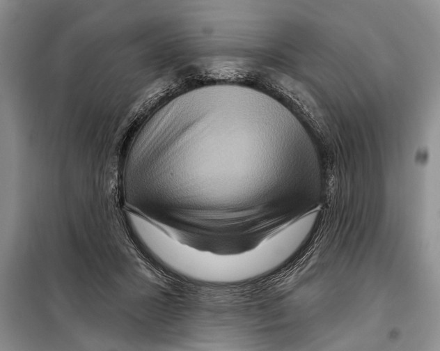X0000097870407200804110929