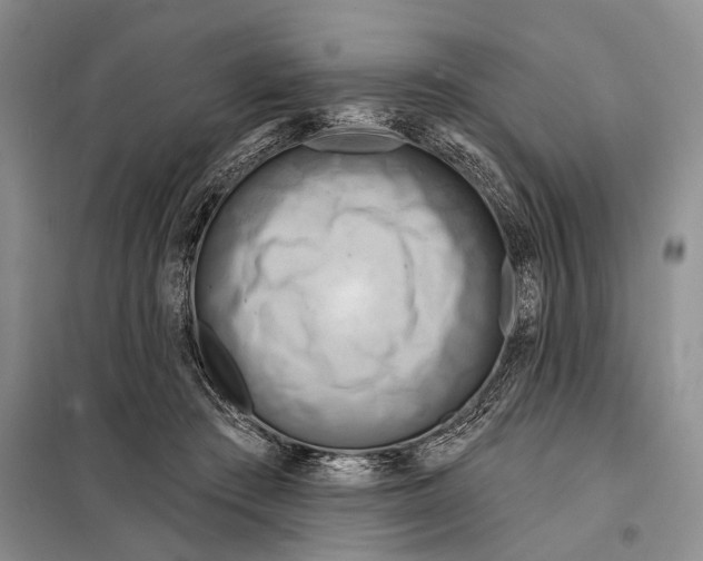 X0000097870409200804110929