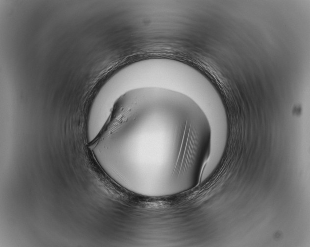 X0000097870411200804110929