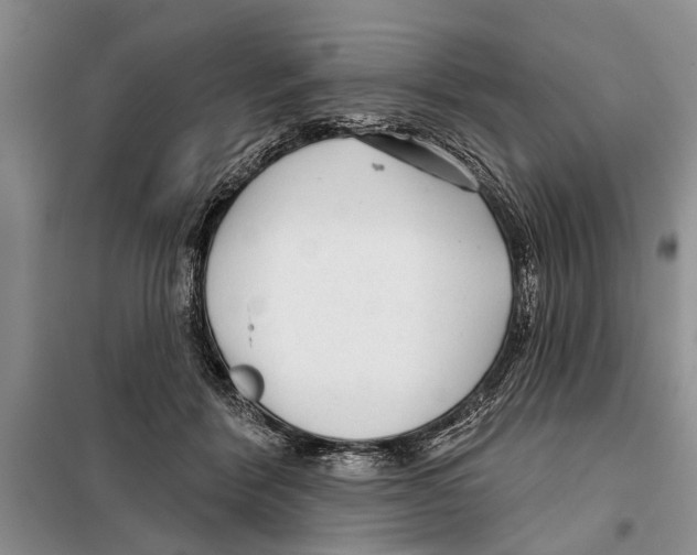 X0000097870412200804110929