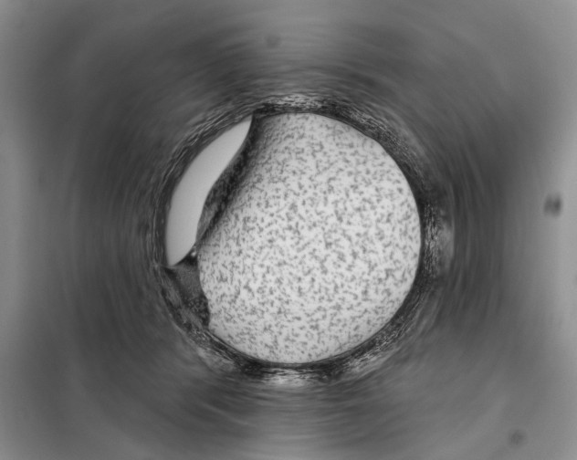 X0000097870416200804110929