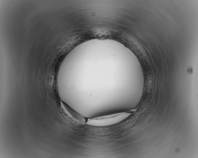 X0000097870417200804110929