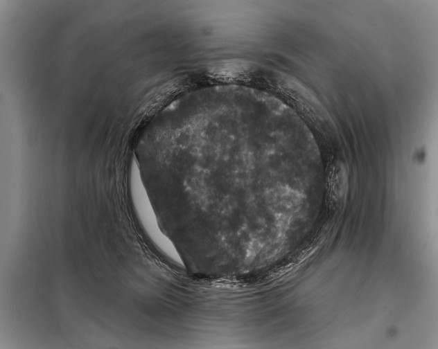 X0000097870420200804110929