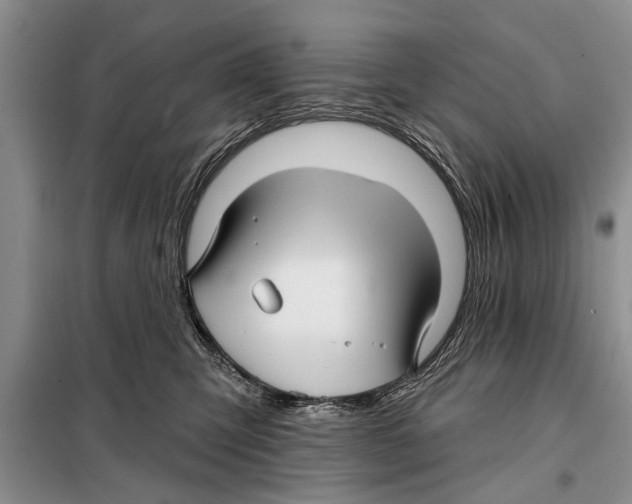 X0000097870423200804110929