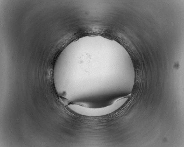 X0000097870425200804110929