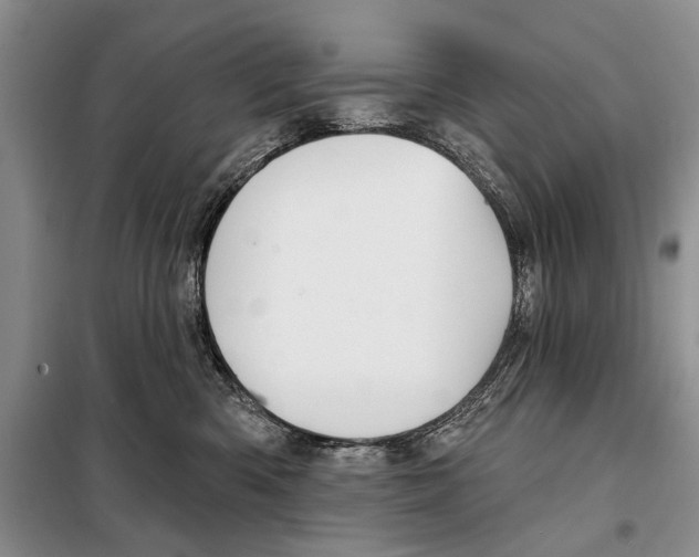 X0000097870426200804110929