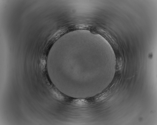 X0000097870427200804110929