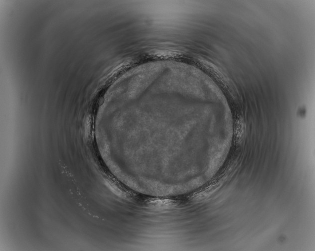 X0000097870428200804110929