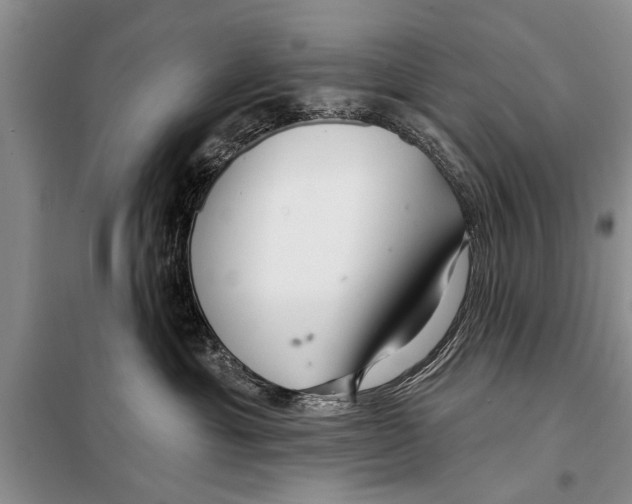 X0000097870429200804110929