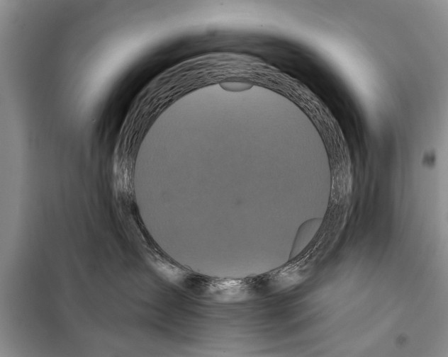 X0000097870431200804110928