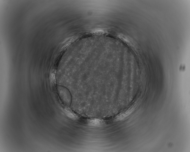 X0000097870432200804110928