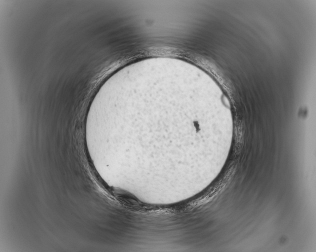 X0000097870433200804110928