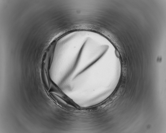 X0000097870434200804110928