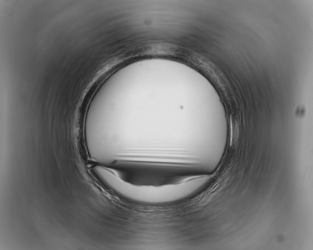 X0000097870435200804110928