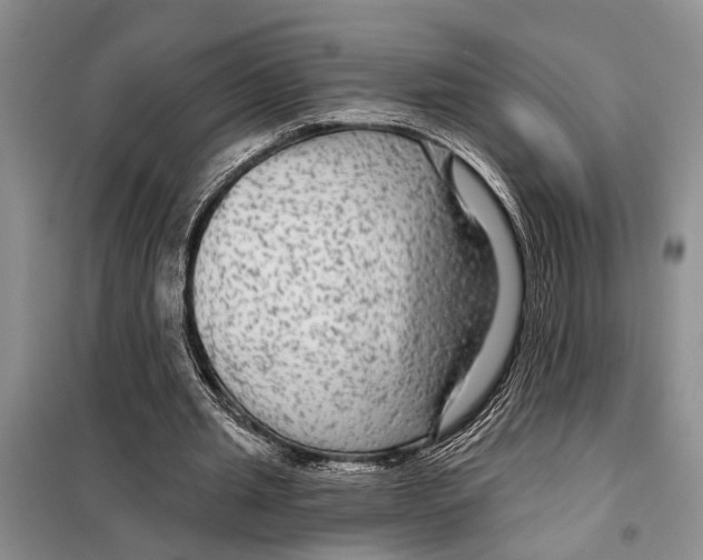 X0000097870437200804110928