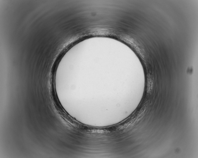 X0000097870439200804110928