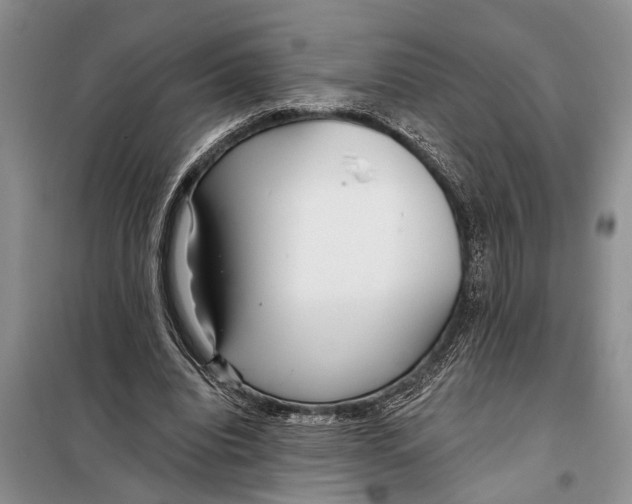 X0000097870440200804110928