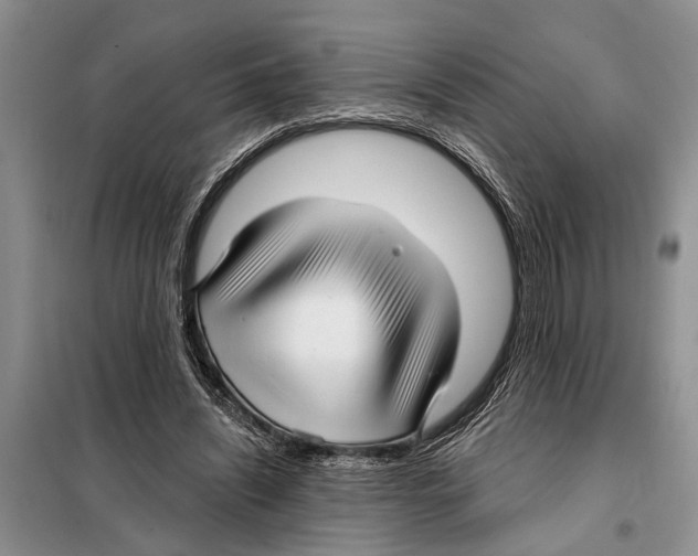 X0000097870444200804110928