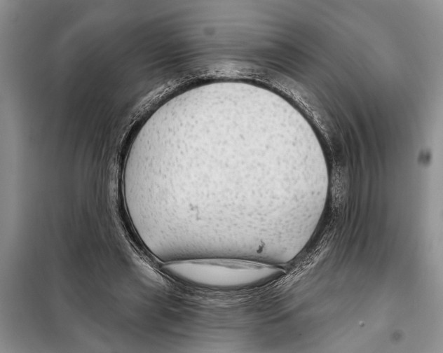 X0000097870445200804110928