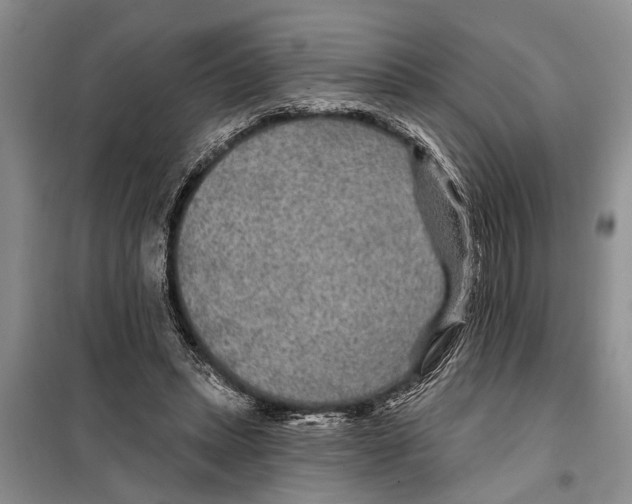 X0000097870447200804110928