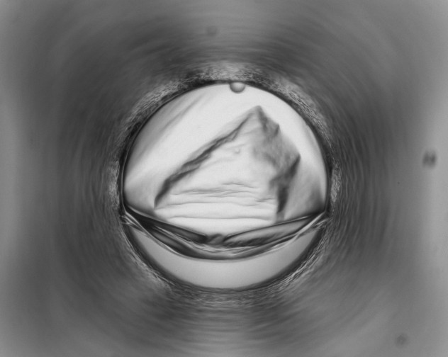 X0000097870449200804110928