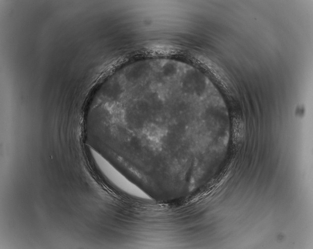 X0000097870451200804110928