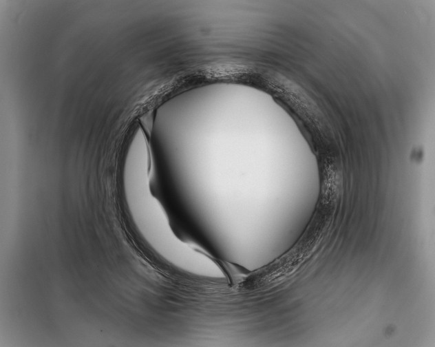 X0000097870452200804110928