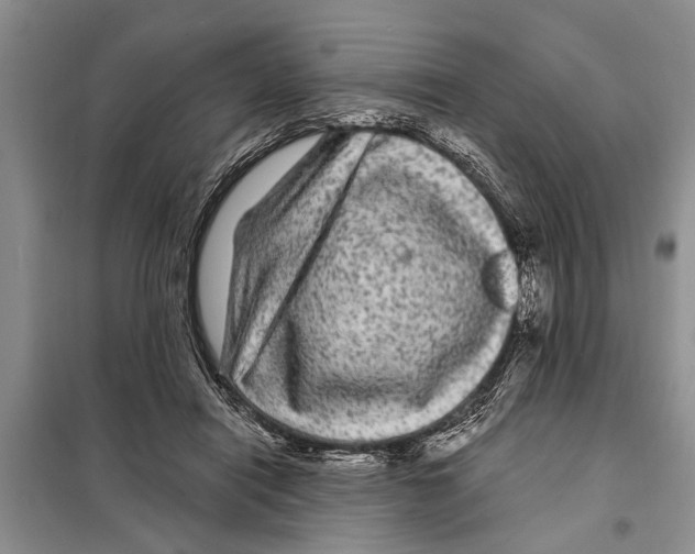 X0000097870454200804110928