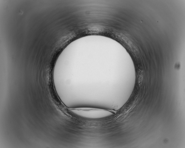 X0000097870455200804110928