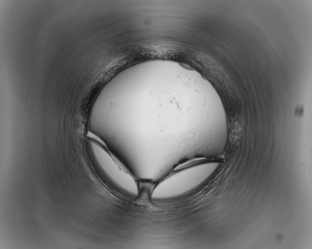 X0000097870456200804110928