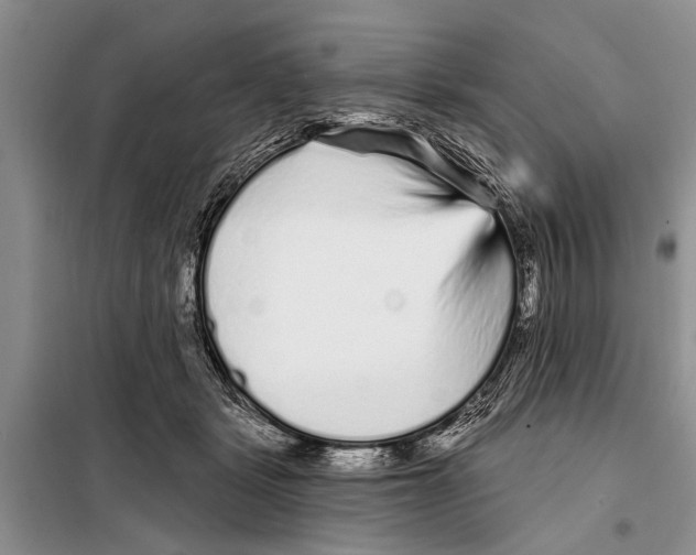 X0000097870461200804110928